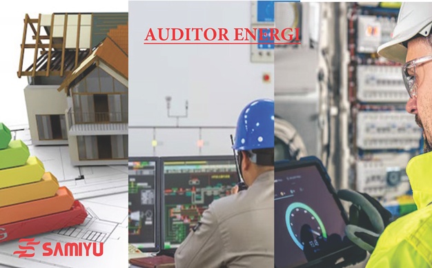 Auditor Energi